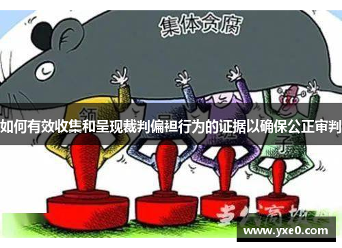 如何有效收集和呈现裁判偏袒行为的证据以确保公正审判