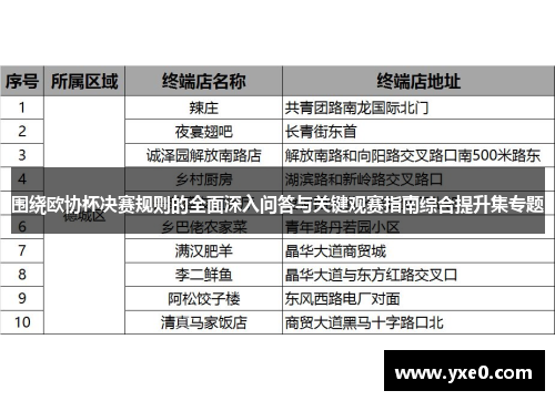 围绕欧协杯决赛规则的全面深入问答与关键观赛指南综合提升集专题
