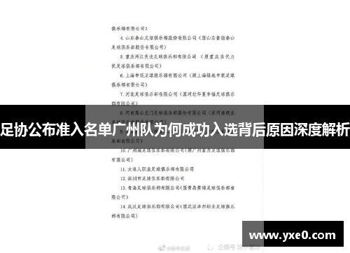 足协公布准入名单广州队为何成功入选背后原因深度解析